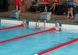 Wiosenne Mistrzostwa RWKS SPARTA w pływaniu