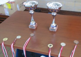 Wiosenne Mistrzostwa RWKS SPARTA w pływaniu najmłodszych Spartan