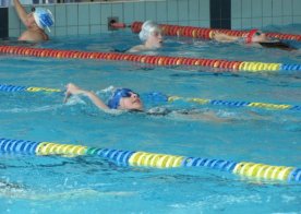 Otwarte Mistrzostwa Okręgu Małopolskiego w Pływaniu Młodzików 