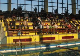 Mikołajkowe Mistrzostwa RWKS SPARTA w pływaniu.