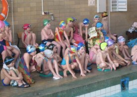 Mikołajkowe Mistrzostwa RWKS SPARTA w pływaniu.