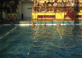 Mikołajkowe Mistrzostwa RWKS SPARTA w pływaniu.