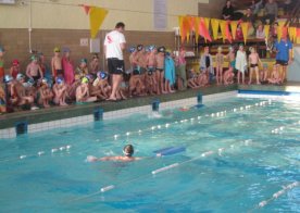 Mikołajkowe Mistrzostwa RWKS SPARTA w pływaniu.