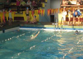 Mikołajkowe Mistrzostwa RWKS SPARTA w pływaniu.