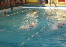 Mikołajkowe Mistrzostwa RWKS SPARTA w pływaniu.