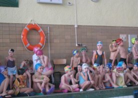 Mikołajkowe Mistrzostwa RWKS SPARTA w pływaniu.