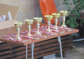 Mikołajkowe Mistrzostwa RWKS SPARTA w pływaniu.