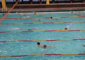 Mikołajkowe Mistrzostwa RWKS SPARTA w pływaniu.