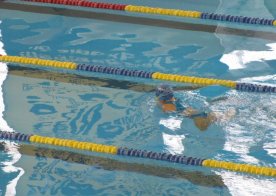 ZAWODY PŁYWACKIE "Puchar Sprintu"