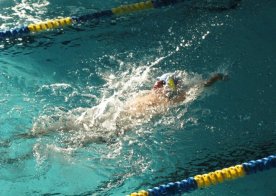 VII RUNDA LIGI WOJEWÓDZKIEJ W PŁYWANIU