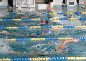 VII RUNDA LIGI WOJEWÓDZKIEJ W PŁYWANIU