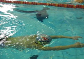 VII RUNDA LIGI WOJEWÓDZKIEJ W PŁYWANIU