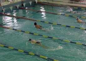 Mistrzostwa Województwa Lubelskiego