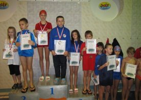 Mistrzostwa Województwa Lubelskiego