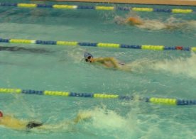 Mistrzostwa Województwa Lubelskiego