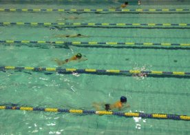 Mistrzostwa Województwa Lubelskiego