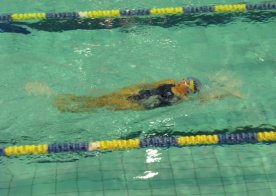 Mistrzostwa Województwa Lubelskiego