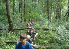 Ustrzyki Dolne - Obóz Sportowy (pływacki)