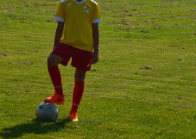 Powołania kadry wojewódzkiej i nabór