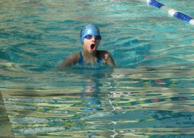 LIGA WOJEWÓDZKA W PŁYWANIU